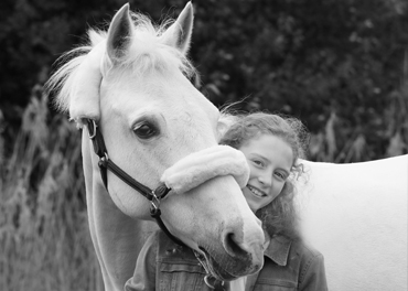 Communiesessies 2026